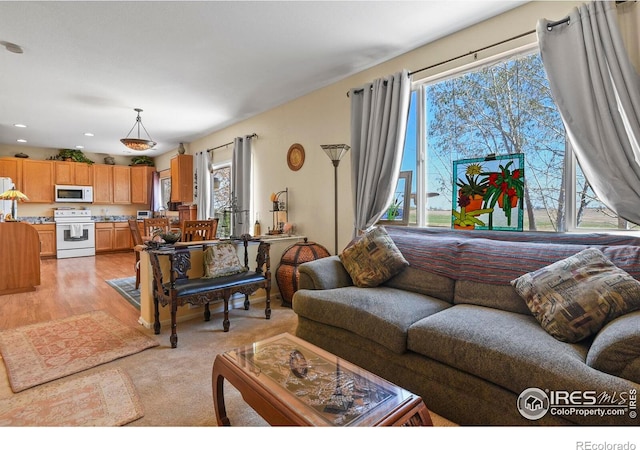 11470 Ebony St, Firestone, CO 80504 - living room with light wood finished floors and recessed lighting