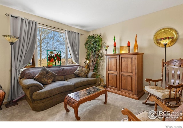 11470 Ebony St, Firestone, CO 80504 - view of carpeted living room