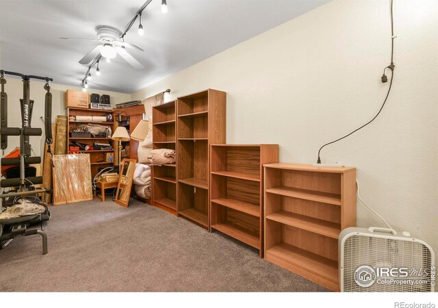 11470 Ebony St, Firestone, CO 80504 - storage area with ceiling fan
