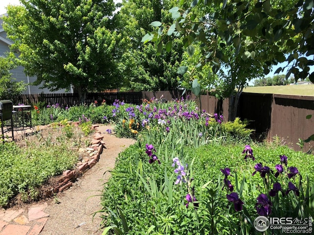 11470 Ebony St, Firestone, CO 80504 - view of yard featuring a fenced backyard