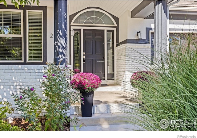 view of exterior entry with brick siding and stucco siding