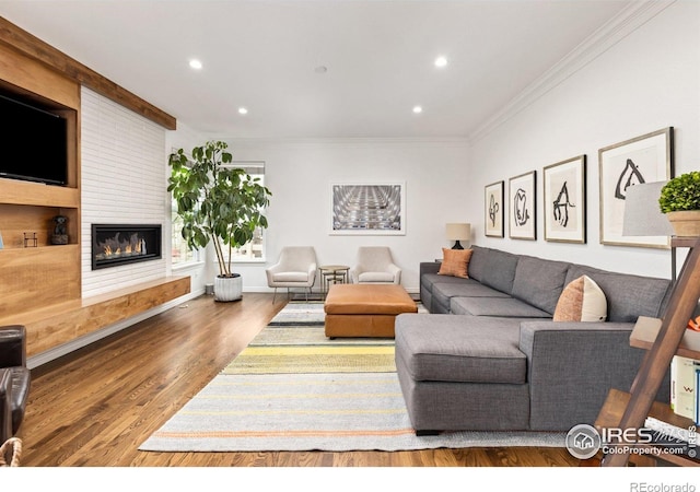 living area featuring ornamental molding, recessed lighting, wood finished floors, and a fireplace