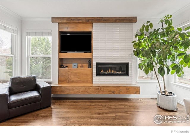 living room featuring wood finished floors, a fireplace, and ornamental molding