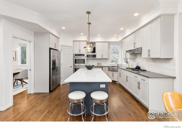 kitchen with a center island, crown molding, under cabinet range hood, dark wood-type flooring, and stainless steel appliances