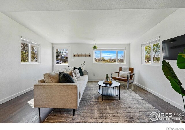 285 Holbrook St, Erie, CO 80516 - living room with baseboards and wood finished floors