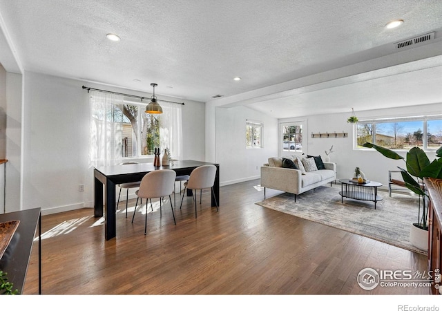 285 Holbrook St, Erie, CO 80516 - living room with a healthy amount of sunlight, baseboards, wood finished floors, and a textured ceiling