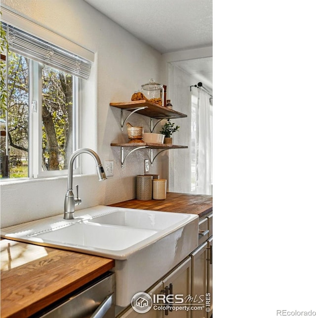 285 Holbrook St, Erie, CO 80516 - interior space with a healthy amount of sunlight, stainless steel dishwasher, and a sink