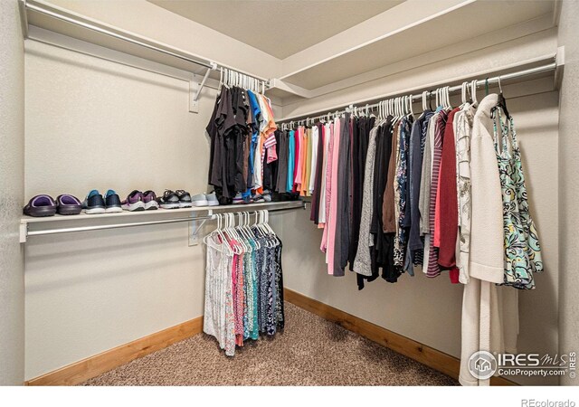 spacious closet with carpet flooring