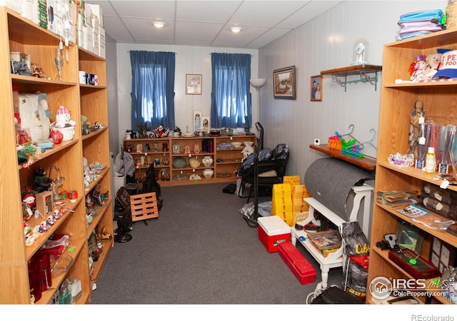 230 Beattie St, Sterling, CO 80751 - misc room with recessed lighting and carpet flooring
