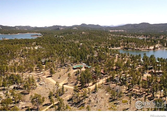 drone / aerial view with a view of trees and a water and mountain view