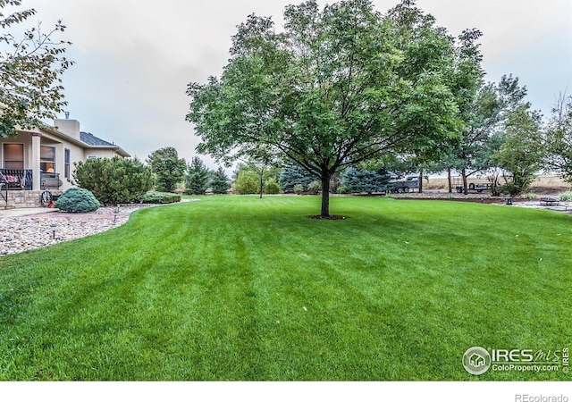 432 Valley View Rd, Loveland, CO 80537 - view of yard