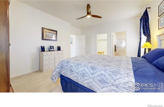 3712 Daylily St, Wellington, CO 80549 - carpeted bedroom with baseboards and a ceiling fan