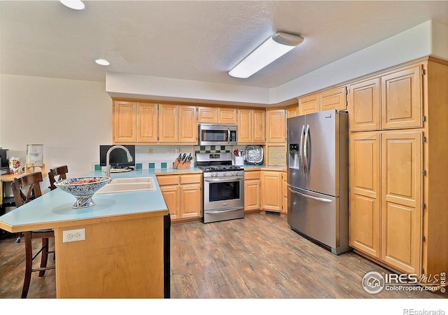 kitchen featuring a sink, light countertops, a peninsula, wood finished floors, and stainless steel appliances