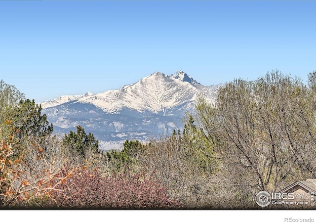 mountain view