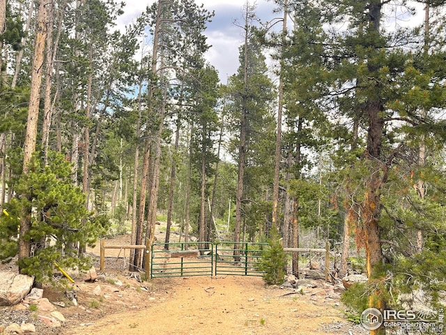 1374 Jicarilla Trl, Red Feather Lakes, CO 80545 - photo 1