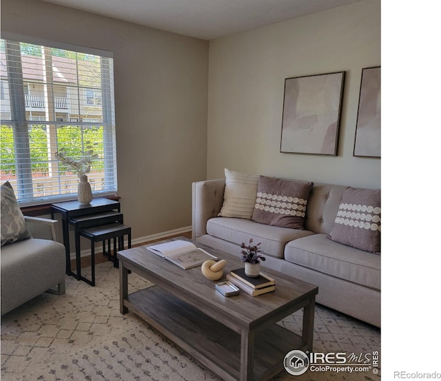 104 Pheasant Run, Louisville, CO 80027 - living room featuring baseboards