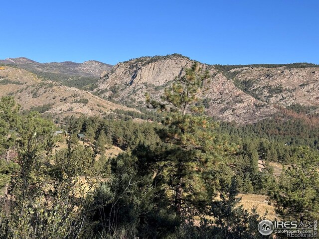 938 Snow Top Dr, Drake, CO 80515