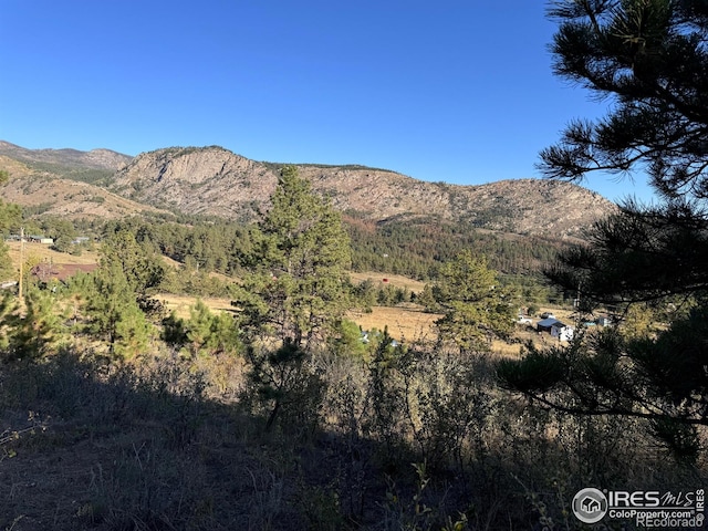 938 Snow Top Dr, Drake, CO 80515
