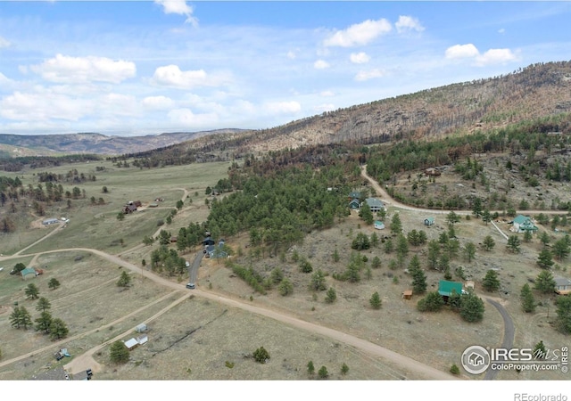 938 Snow Top Dr, Drake, CO 80515