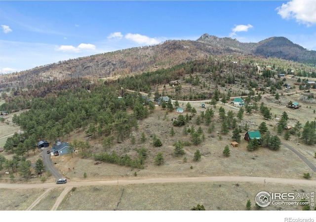 938 Snow Top Dr, Drake, CO 80515
