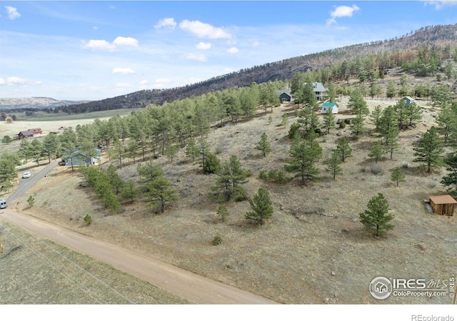 938 Snow Top Dr, Drake, CO 80515