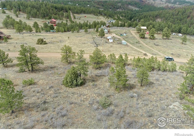 938 Snow Top Dr, Drake, CO 80515