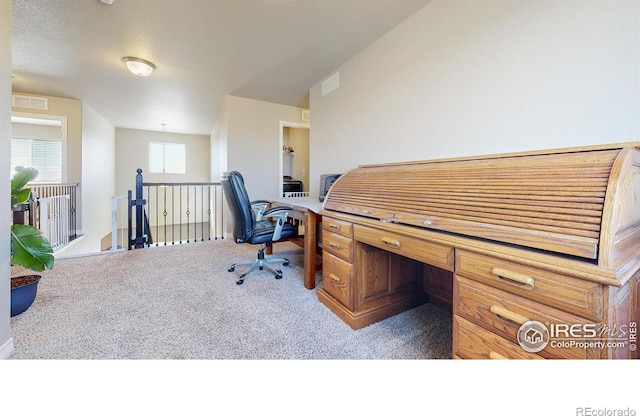 home office with carpet floors and visible vents
