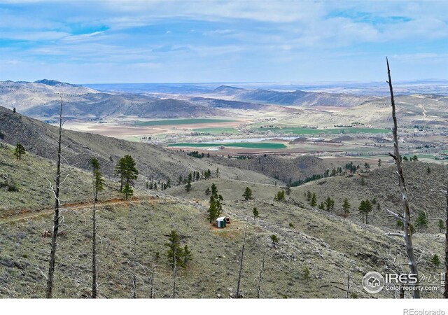 498 Helms Deep Rd, Bellvue, CO 80512