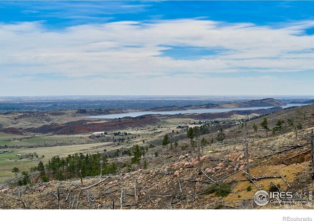 498 Helms Deep Rd, Bellvue, CO 80512
