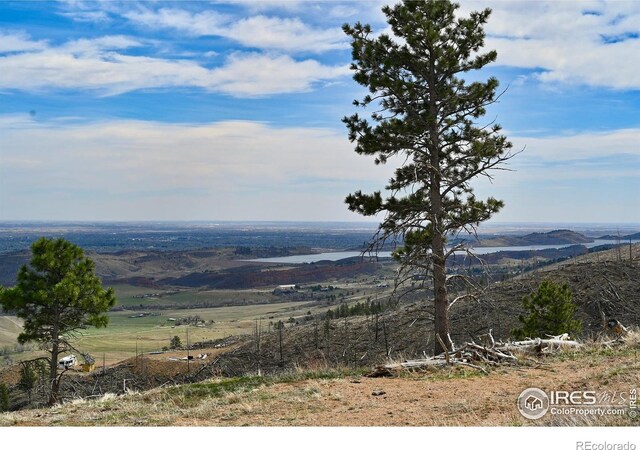 498 Helms Deep Rd, Bellvue, CO 80512