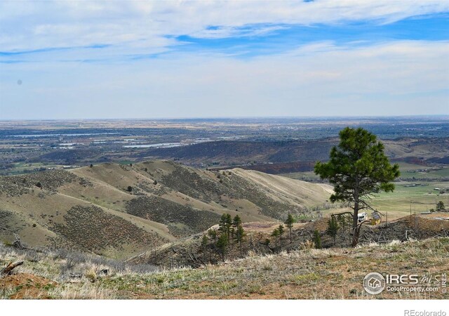 498 Helms Deep Rd, Bellvue, CO 80512