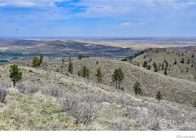 498 Helms Deep Rd, Bellvue, CO 80512