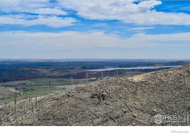 498 Helms Deep Rd, Bellvue, CO 80512