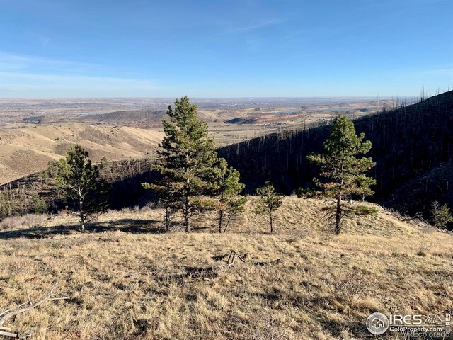 498 Helms Deep Rd, Bellvue, CO 80512