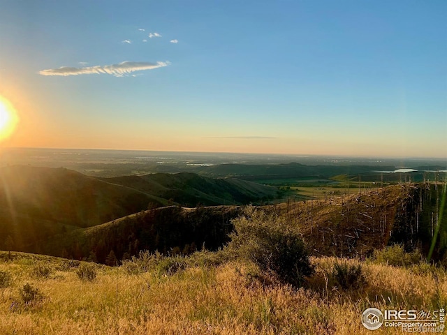 498 Helms Deep Rd, Bellvue, CO 80512