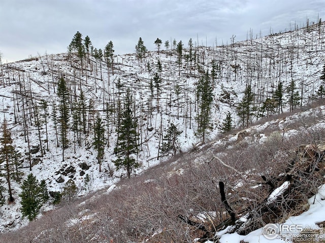 498 Helms Deep Rd, Bellvue, CO 80512