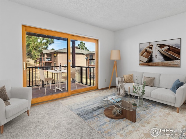 1155 S Saint Vrain Ave Unit 1-3, Estes Park, CO 80517 - living area featuring baseboards, carpet flooring, and a textured ceiling