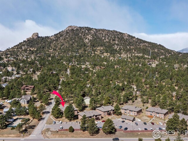 1155 S Saint Vrain Ave Unit 1-3, Estes Park, CO 80517 - view of mountain feature