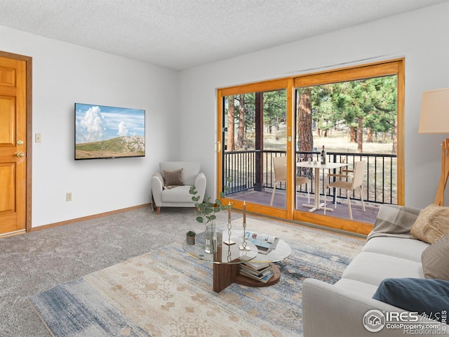 1155 S Saint Vrain Ave Unit 1-3, Estes Park, CO 80517 - living area with a textured ceiling, carpet floors, a wealth of natural light, and baseboards