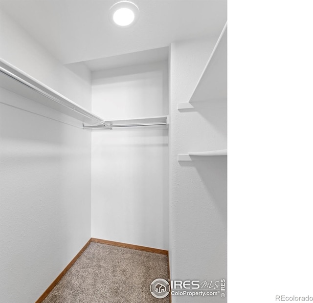 1155 S Saint Vrain Ave Unit 1-3, Estes Park, CO 80517 - spacious closet featuring carpet flooring