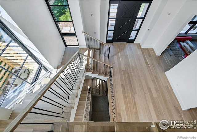foyer with a towering ceiling, plenty of natural light, and wood finished floors