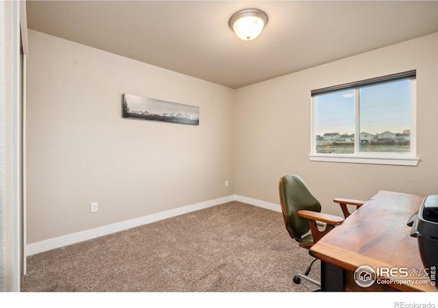 office area with baseboards and carpet flooring
