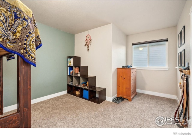 interior space featuring baseboards and carpet flooring