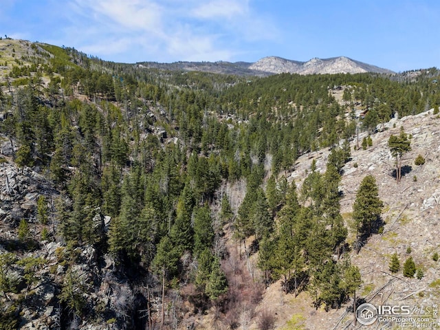 Cedar Park Dr, Drake, CO 80515