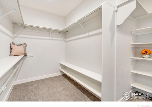 spacious closet with carpet floors