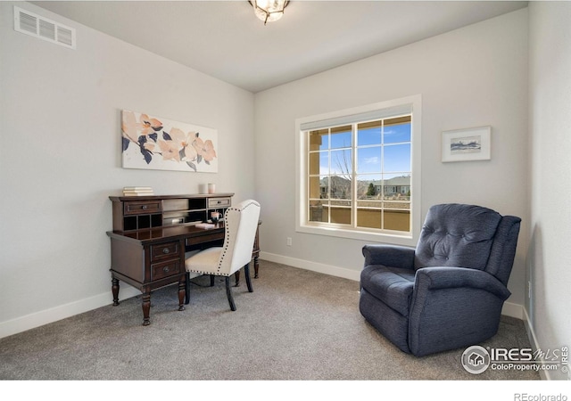 1441 Prairie Hawk Rd, Eaton, CO 80615 - office area with carpet and baseboards