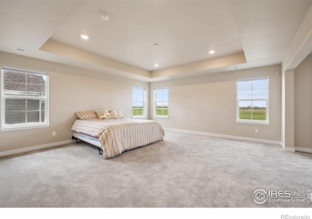583 Olive St, Broomfield, CO 80023 - photo 13
