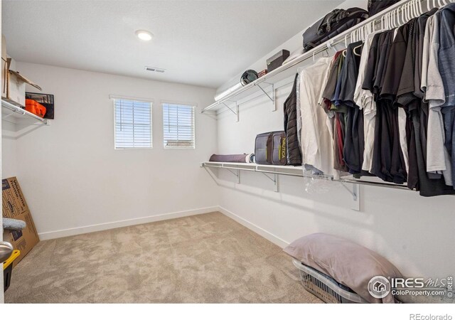 583 Olive St, Broomfield, CO 80023 - photo 18