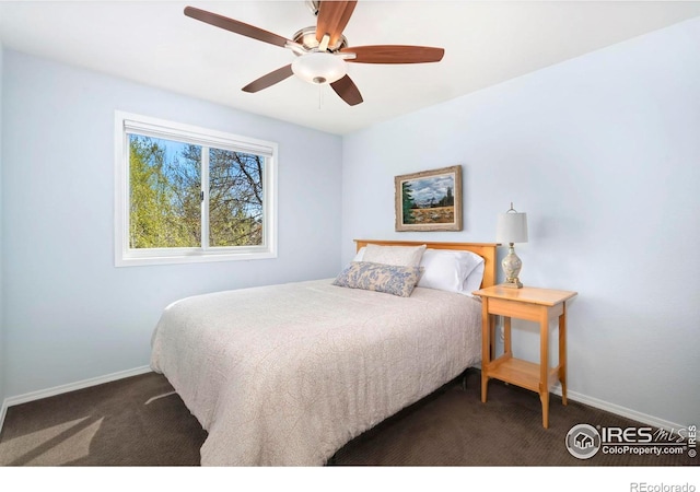 801 Westbourn Ct, Fort Collins, CO 80525 - photo 28