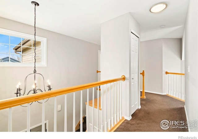 801 Westbourn Ct, Fort Collins, CO 80525 - photo 21